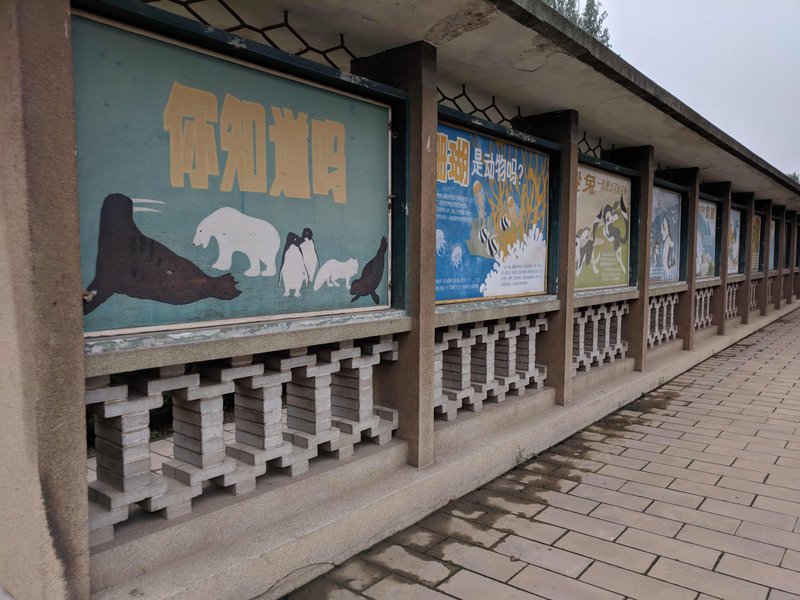 Beijing-Zoo.jpg